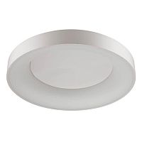 потолочный светодиодный светильник odeon light sole 4062/80cl в Абакане