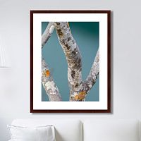 картина: trees on the galapagos islands, ecuador no3 в Абакане