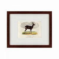 картина: a roebuck, 1830 в Абакане