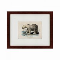 картина: white polar bear on an ice, 1830 в Абакане