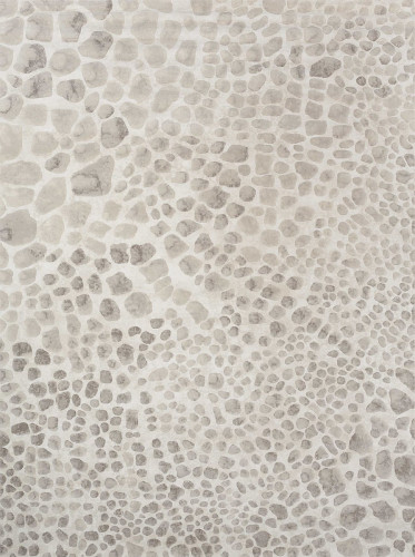 ковер ivory 64227i6575 200x290 в Абакане