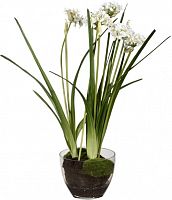 декор allium в Абакане