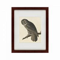 картина: great gray owl, 1834 в Абакане