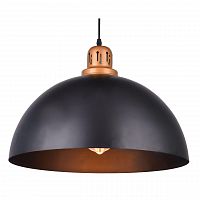 подвесной светильник arte lamp eurica a4249sp-1bk в Абакане