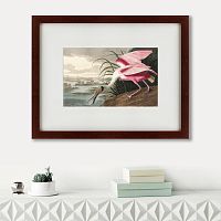картина: roseate spoonbill, 1827 в Абакане