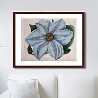 картина: exotic plants of the world №13, 1815г. в Абакане