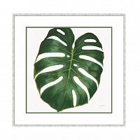 постер monstera зеленый в Абакане