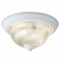 потолочный светильник arte lamp aqua a9370pl-2wh в Абакане