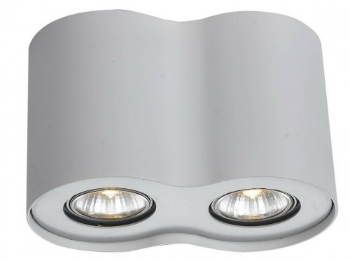 потолочный светильник arte lamp falcon a5633pl-2wh в Абакане