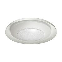 потолочный светодиодный светильник odeon light benso 4623/48cl в Абакане