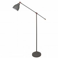 торшер arte lamp braccio a2054pn-1gy в Абакане