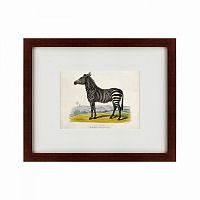 картина: a zebra, 1830 в Абакане