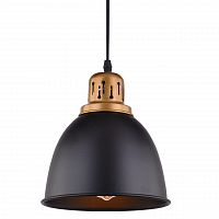 подвесной светильник arte lamp eurica a4245sp-1bk в Абакане