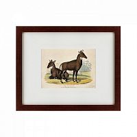 картина: two nilgais, 1830 в Абакане