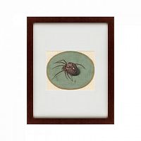 картина: spider, 1690 в Абакане