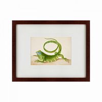 картина: green iguana, 1701 в Абакане