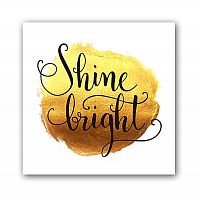 постер shine а3 в Абакане