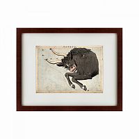 картина: signs of zodiac taurus, 1825 в Абакане