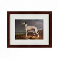 картина: portrait of a greyhound, 1744 в Абакане