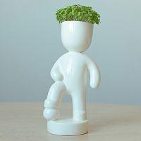 набор для выращивания eco футболист в Абакане