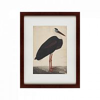 картина: black stork in a landscape, индия, 1780 в Абакане