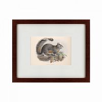 картина: the squirrel, 1879 в Абакане