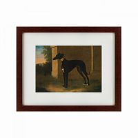 картина: portrait of a greyhound called pompon, 1746 в Абакане