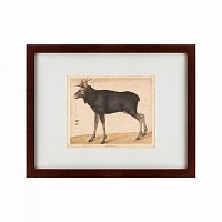 картина: moose, 1560 в Абакане