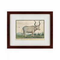 картина: cape ox, 1778 в Абакане