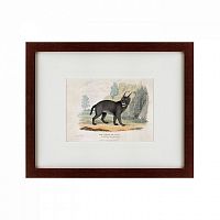 картина: a caracal or lynx, 1830 в Абакане